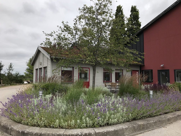 stangby-plantskola-lund
