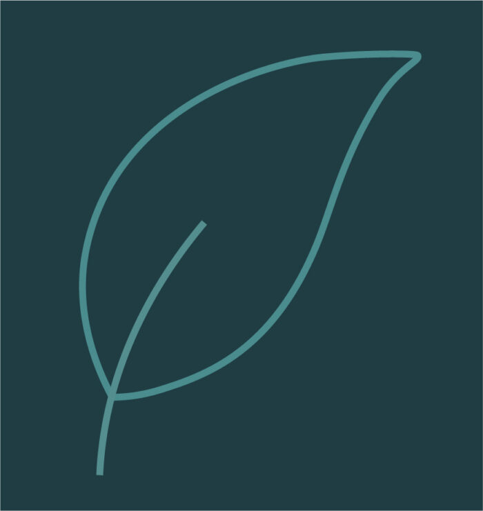 Sorbus intermedia ‘Brouwers’
