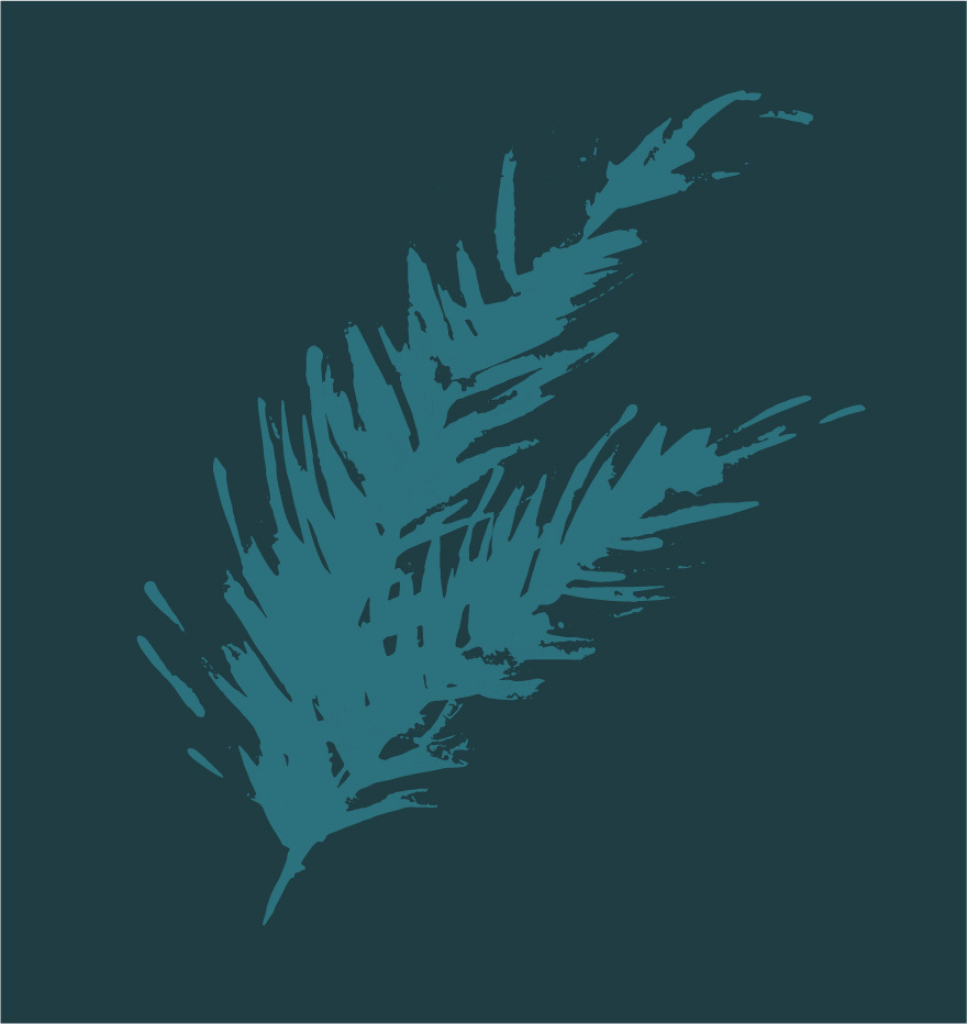 Juniperus-chinensis-Blaauw-kinesisk-en