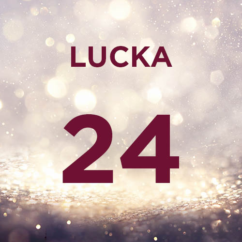 door-Lucka 24