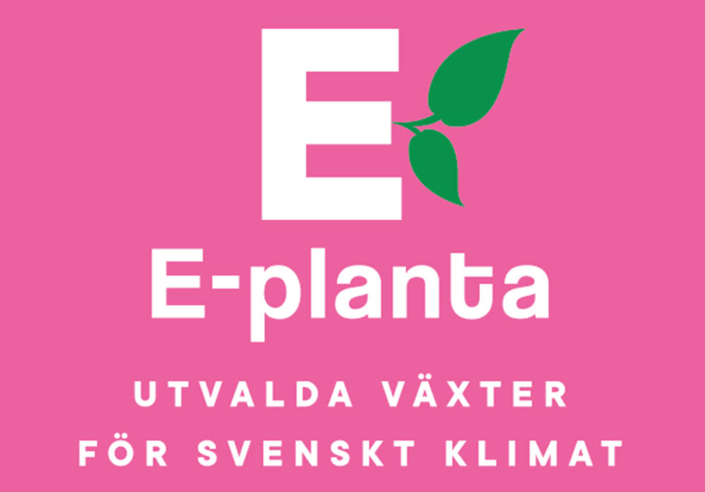 E-Planta Utvalt för Svenskt Klimat