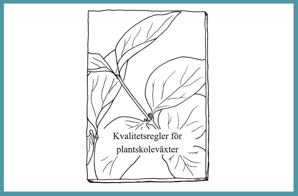 Stångby plantskola. Råd och tips. Kvalitetsregler för plantskoleväxter, startsida.