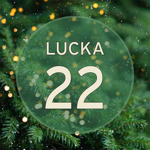 door-Lucka 22