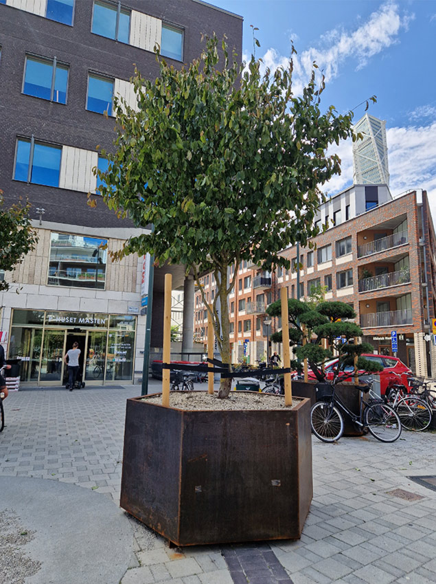 Malmö, Masttorget 2023. Stångby Plantskola Växtleverantör.