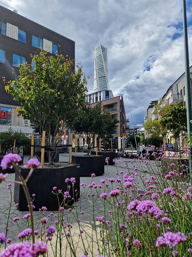 Malmö, Masttorget 2023. Stångby Plantskola Växtleverantör.