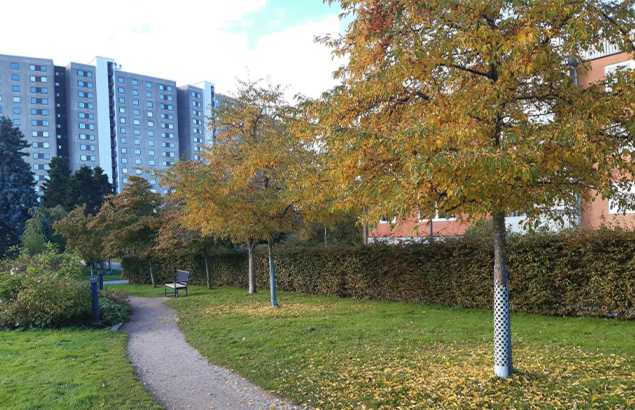 Stångby Plantskola, växtleverantör, projekt, referens Åkerbyparken Täby Kommun. Träd.