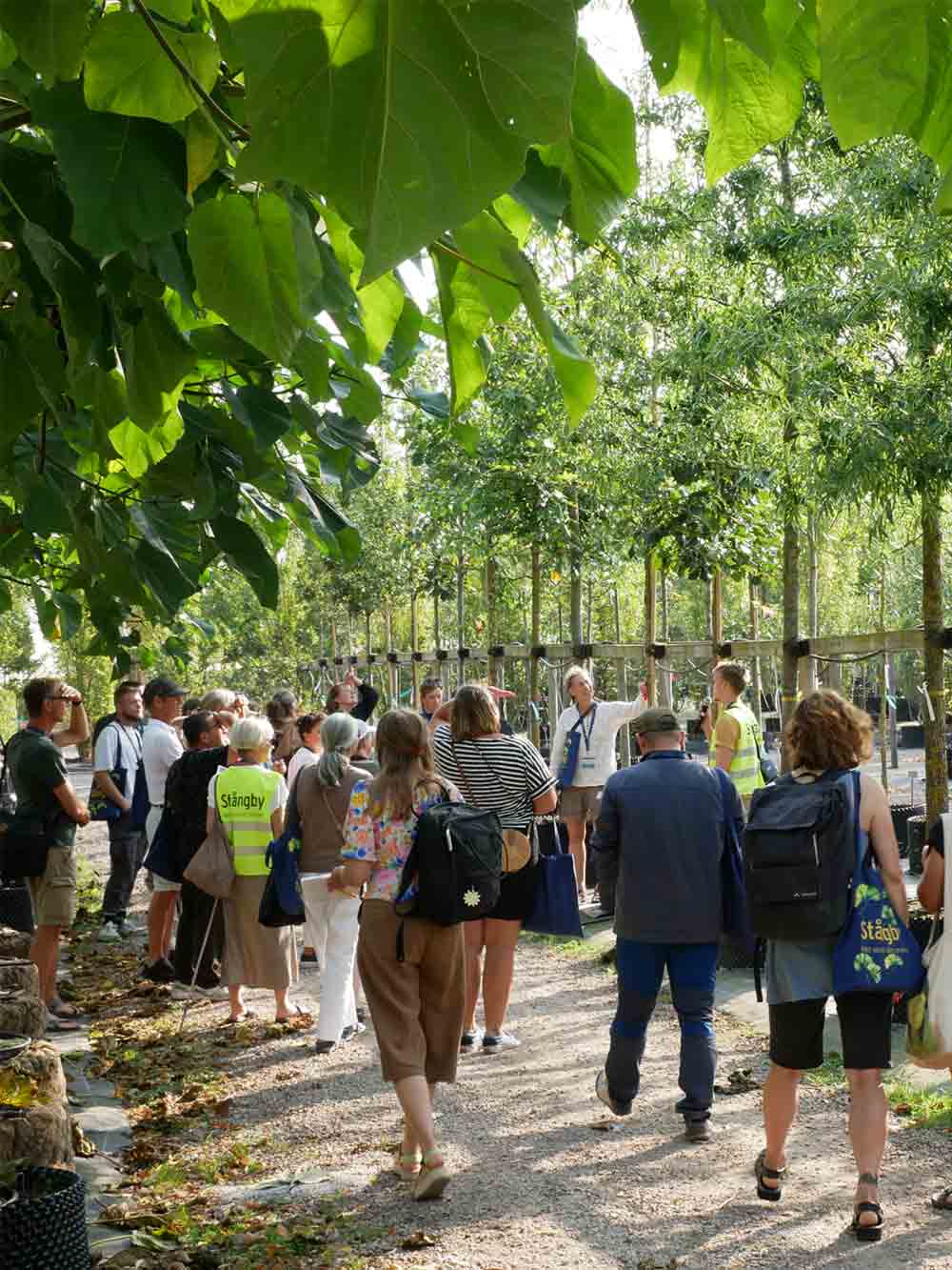 Plantskoledagen 2024 Stångby Lund