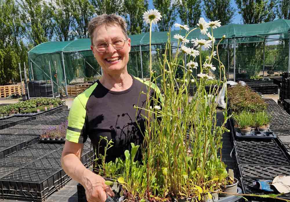 Birgitta Sandberg - Perennansvarig Stångby Plantskola