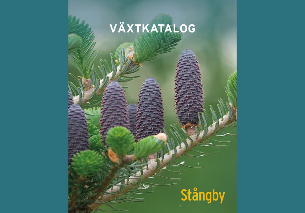 Växtkatalog 2025 Stångby