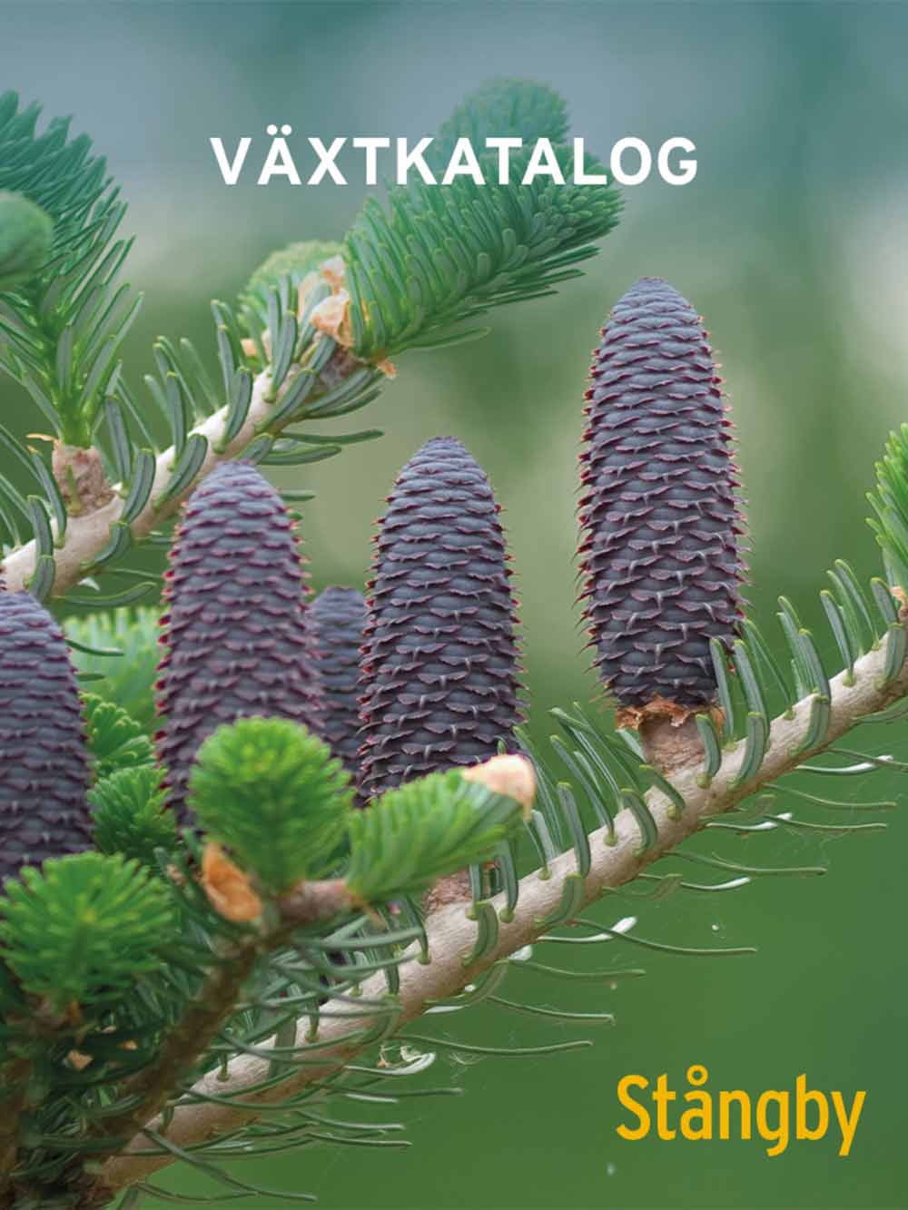 Växtkatalog 2025 Stångby