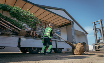Stångby Plantskola Växtkatalog - Bra att veta