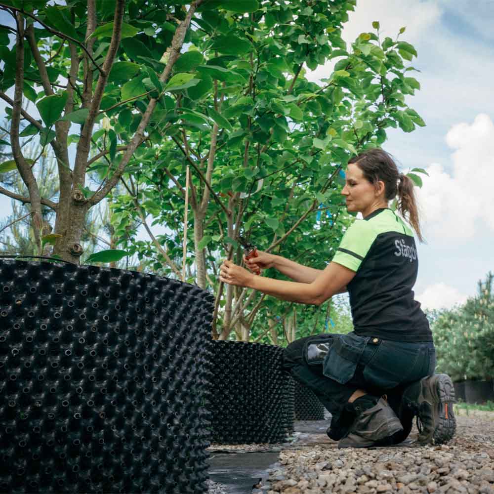 airpot-kruka-solitar-trad Stångby Plantskola - egen odling, air-pot