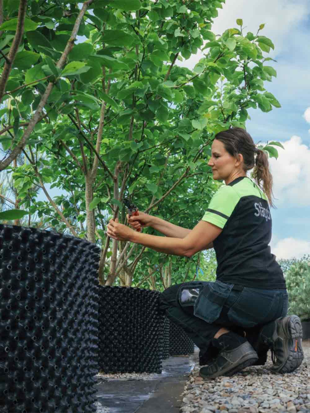 Stångby Premium - Air-Pot