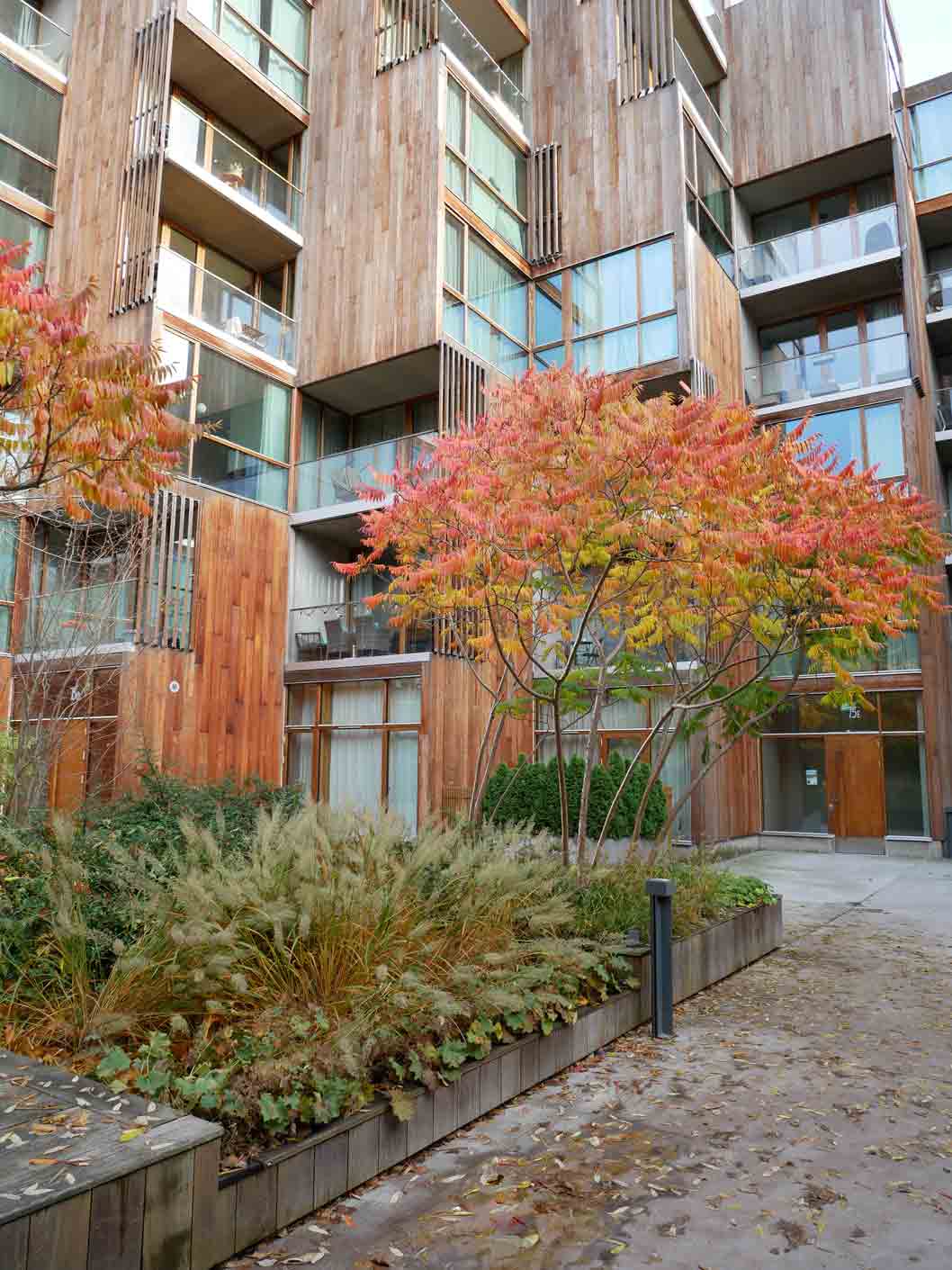 79&Park - Stockholm, plantering av träd, buskar och perenner på bjälklag.