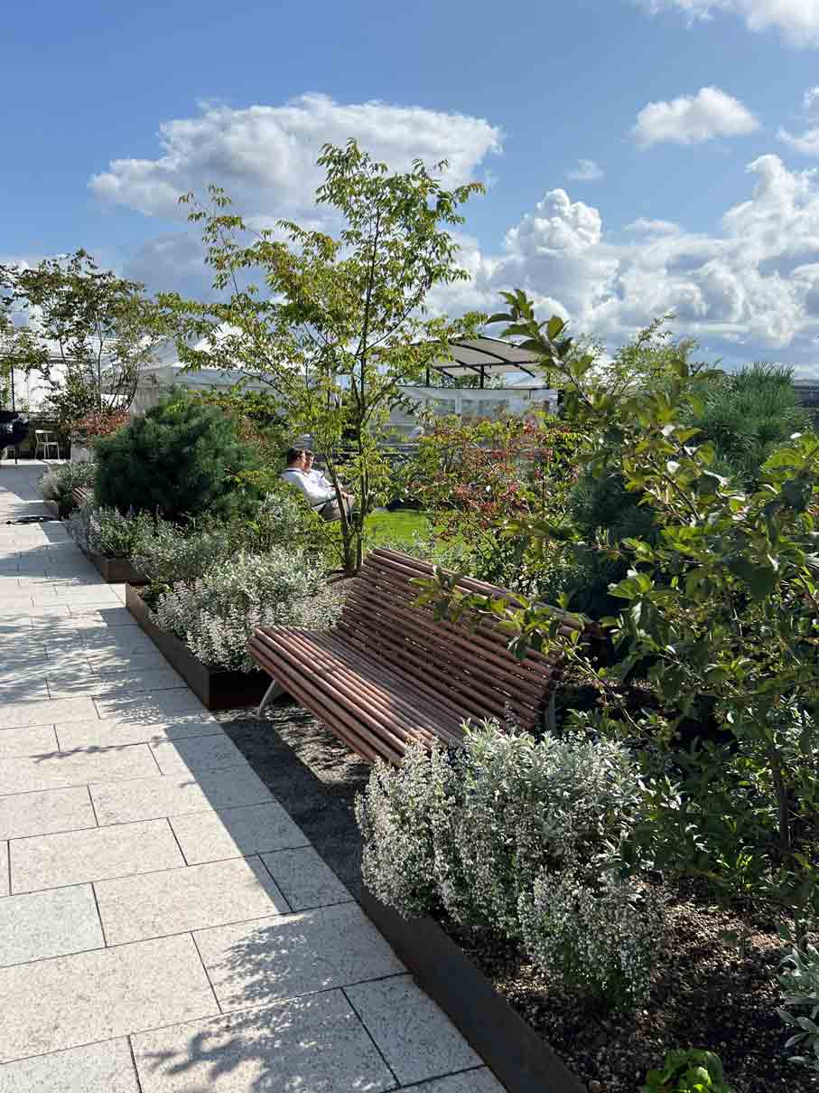 Bonnierhuset Stockholm - plantering av träd, buskar och perenner på hustak.