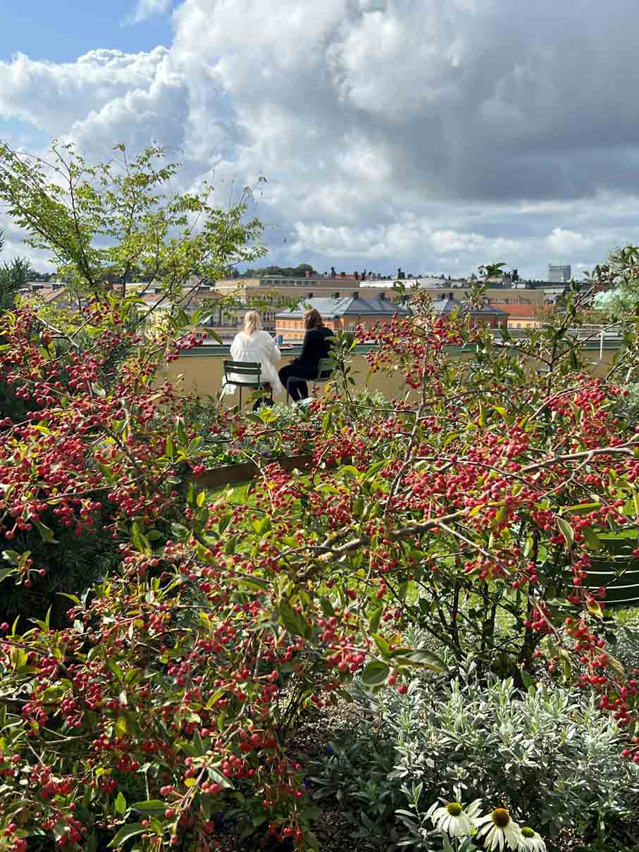 Bonnierhuset Stockholm - plantering av träd, buskar och perenner på hustak.