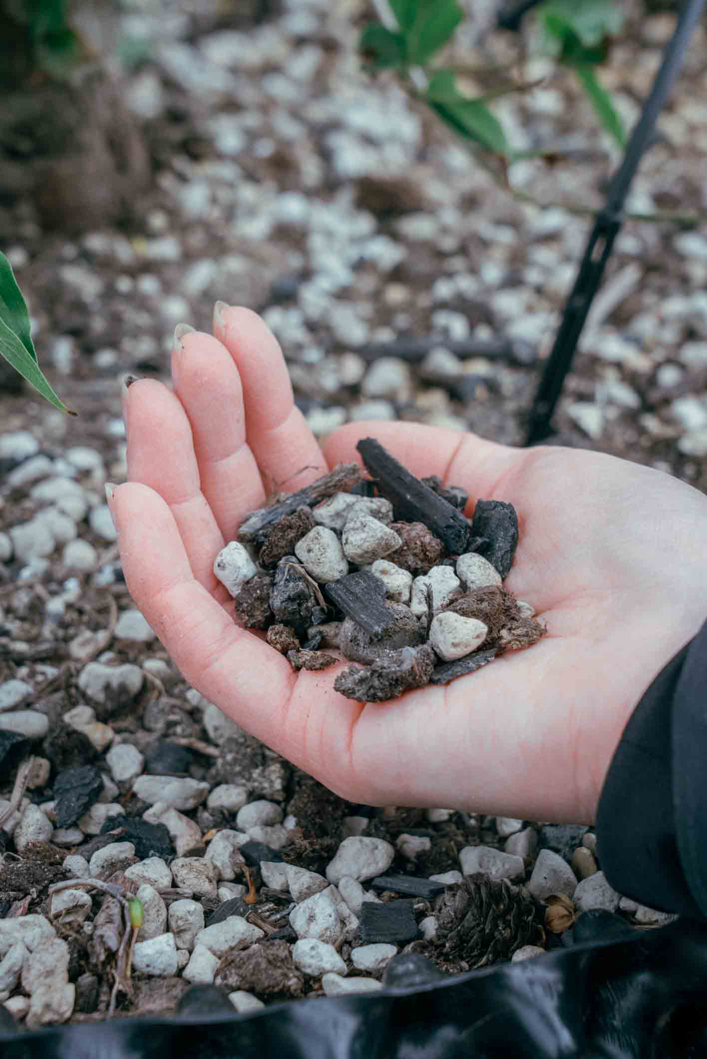 odlingssubstrat plantskola