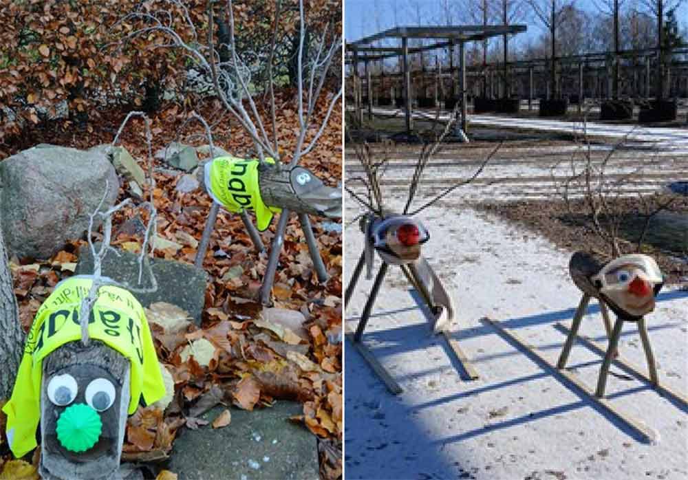 Trärenarna Rut och Rune