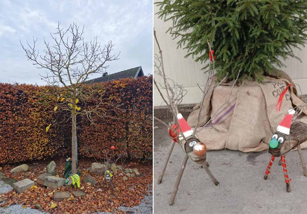 Trärenarna Rut och Rune