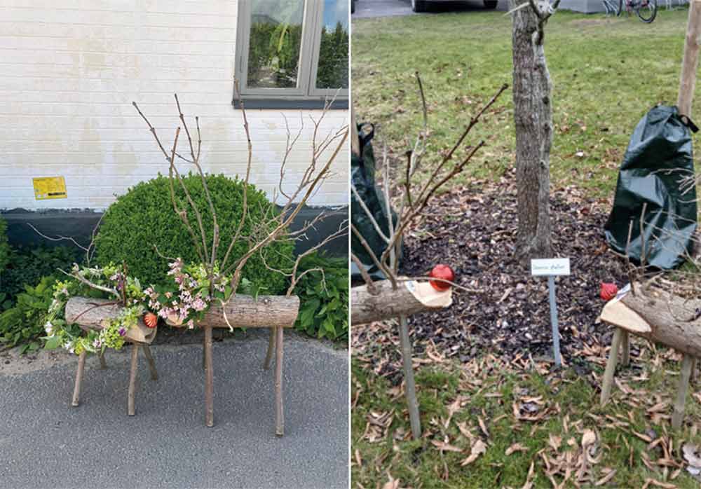 Trärenarna Rut och Rune