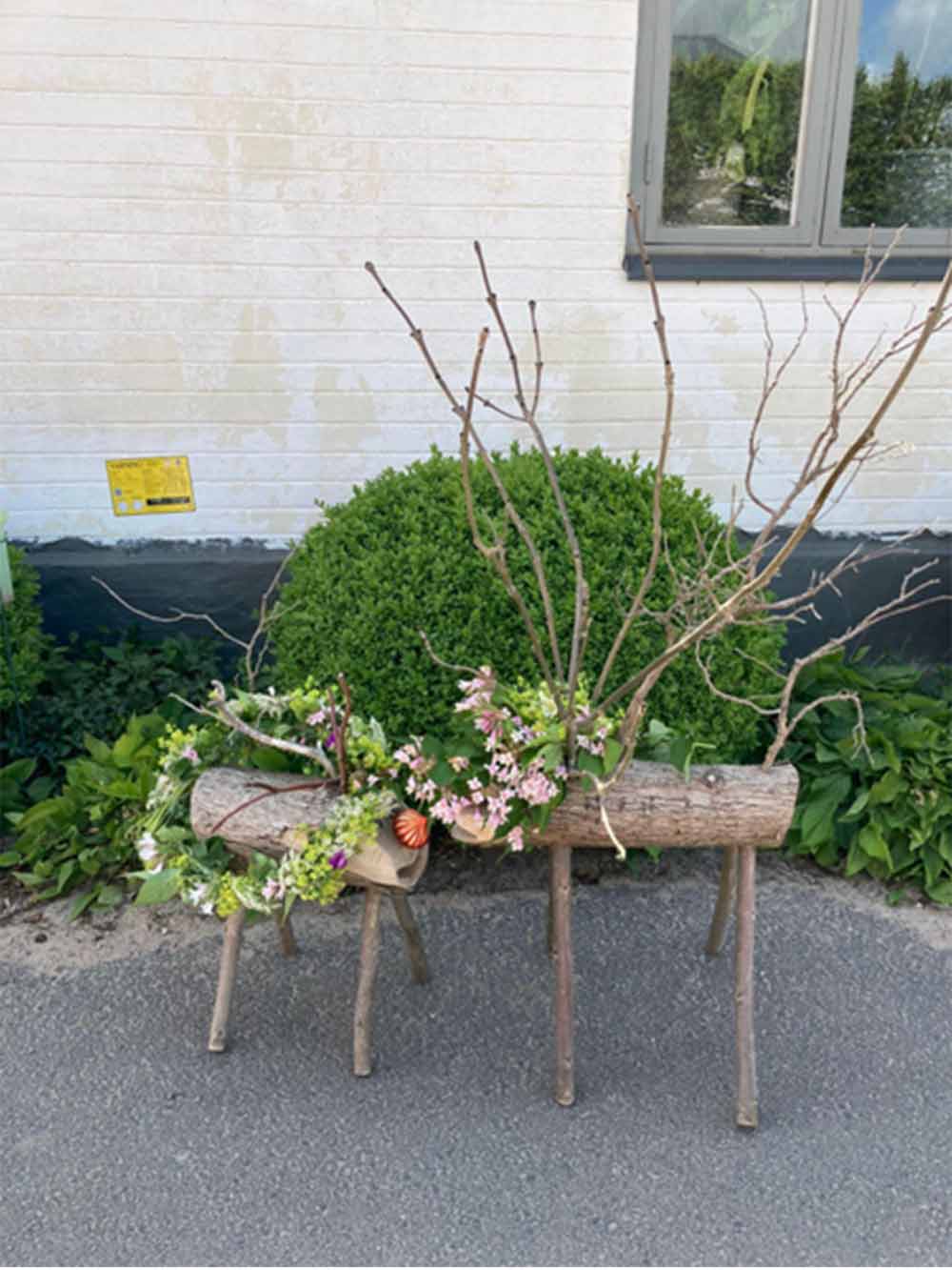 Trärenarna Rut och Rune