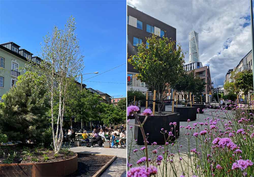 Växter i urna, sommargågator/sommartorg