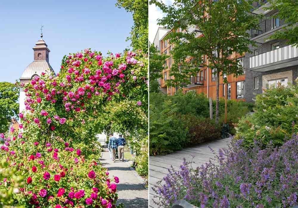 Stångby Akademi Kursutbud Vårvinter 2026