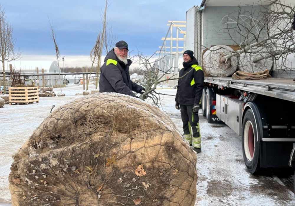 Tord Ekberg Kvalitetsansvarig Stångby Plantskola