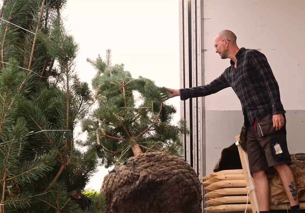 Tord Ekberg Kvalitetsansvarig Stångby Plantskola